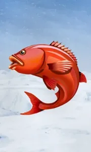 Ice Fishing